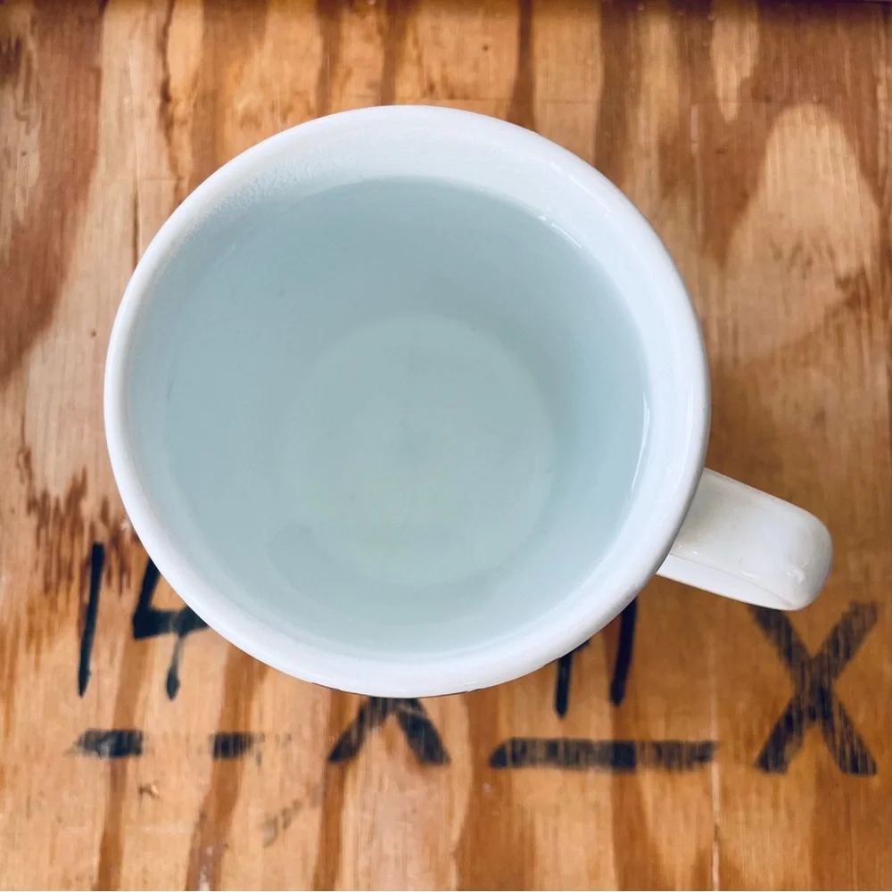 WEST ELM Turkish Coffee Cup